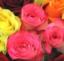 Inima trandafiri multicolori